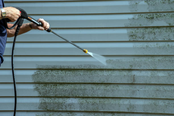 Best Pressure Washing Siding  in Hazen, AR